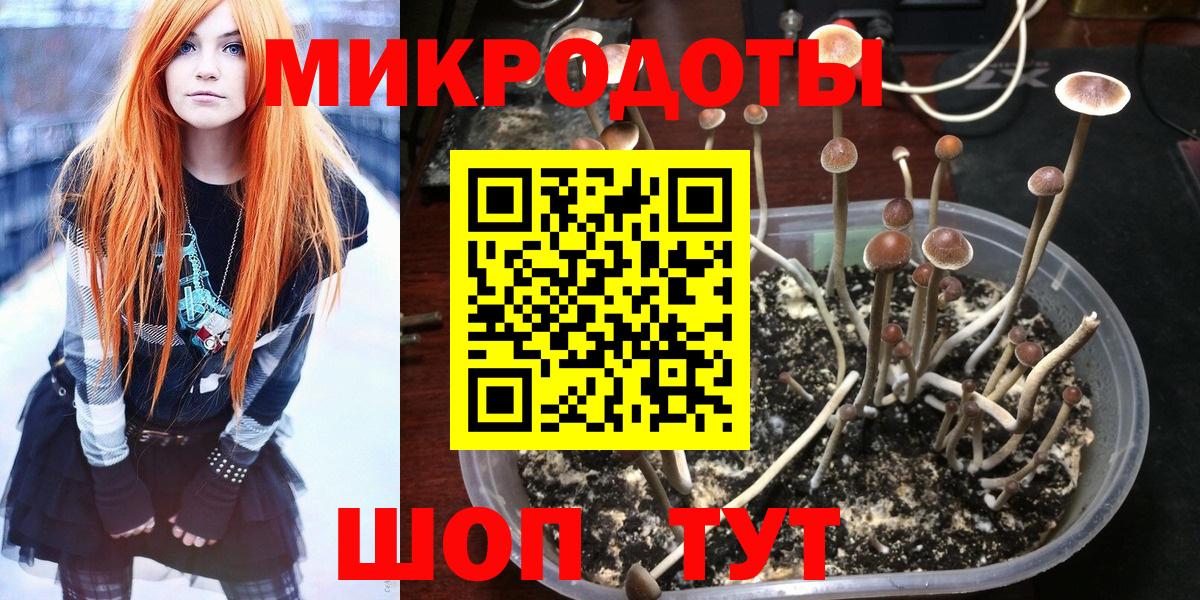 Псилоцибиновые грибы мухоморы  Вход с VPN  Галлюциногенные грибы Magic Shrooms  наркота  Богданович 